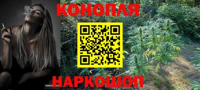 крисы Можайск