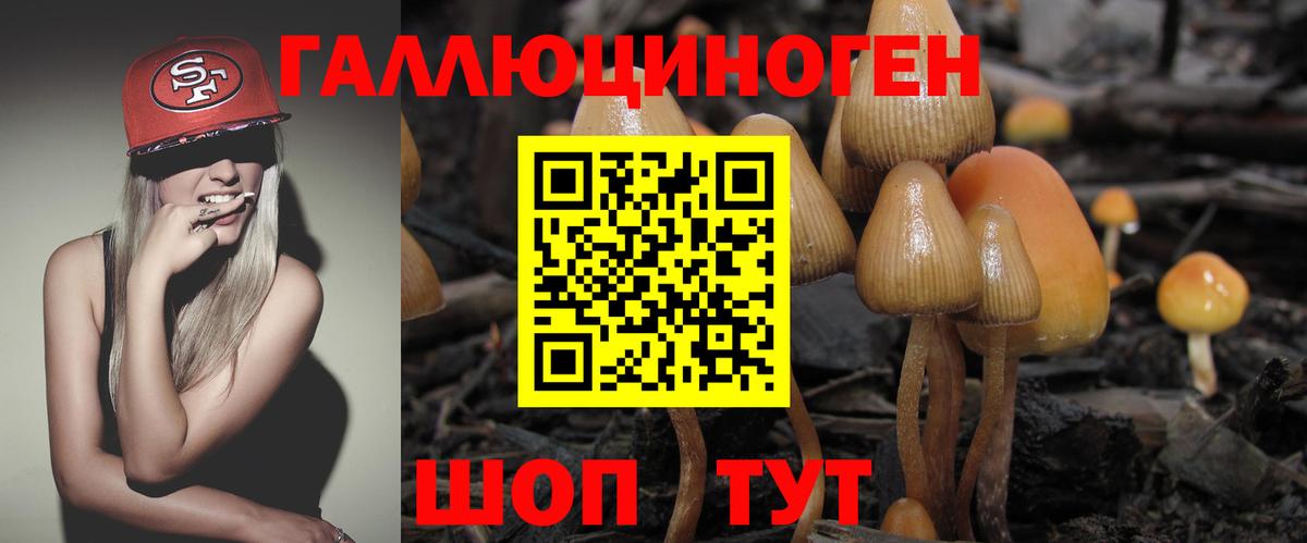 Псилоцибиновые грибы прущие грибы Аксай